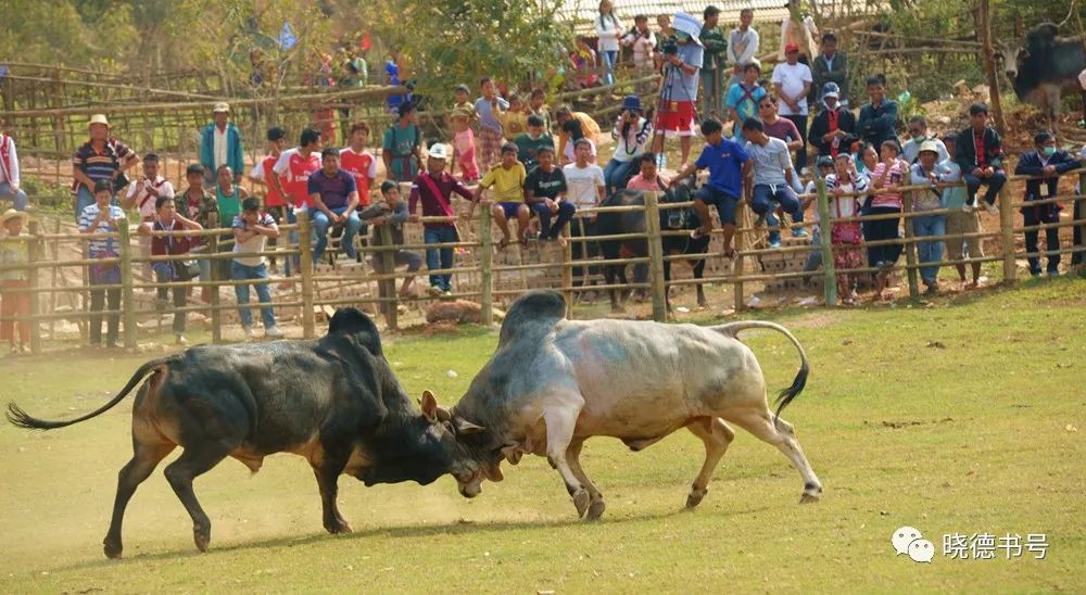 以前茶马古道普洱茶是送到哪里的,云南茶马古道普洱茶叶