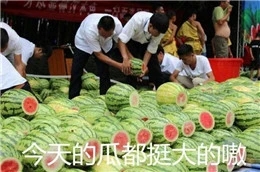 美好的一天从早餐开始表情包,表情包元气满满的一天