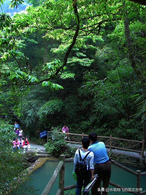 黑山谷深度洗肺,重庆黑山谷游记
