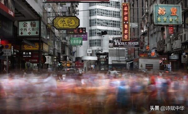 辞赋劲竹赋完整,辞赋书籍