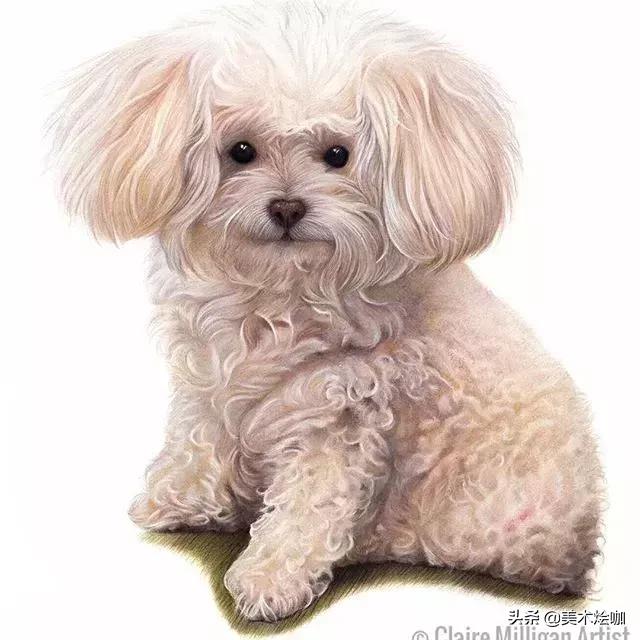 画的比照片还逼真,画的比照片还真实