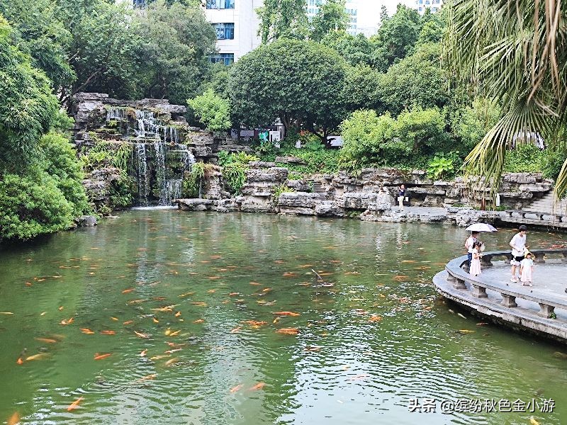 柳州柳侯公园有几个项目,柳州柳侯公园属于哪个区