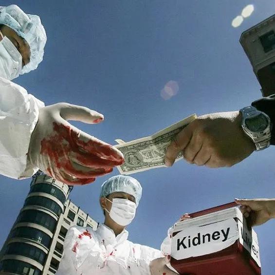 卖肾工厂，在这里|地球知识局