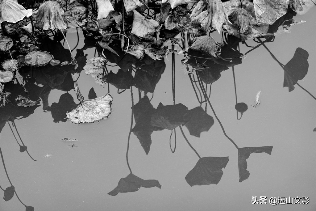 索尼黑卡二怎么拍,索尼黑卡2大光圈拍视频