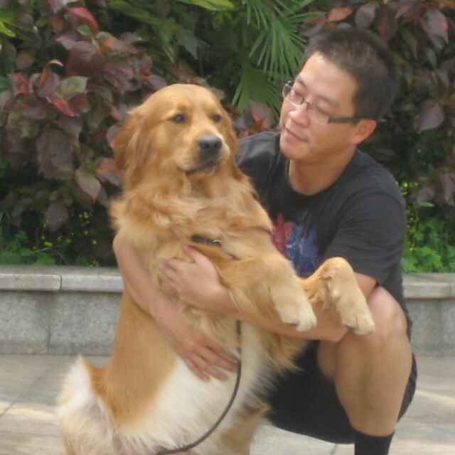 魏庆原创最新进展,魏庆原创完整视频