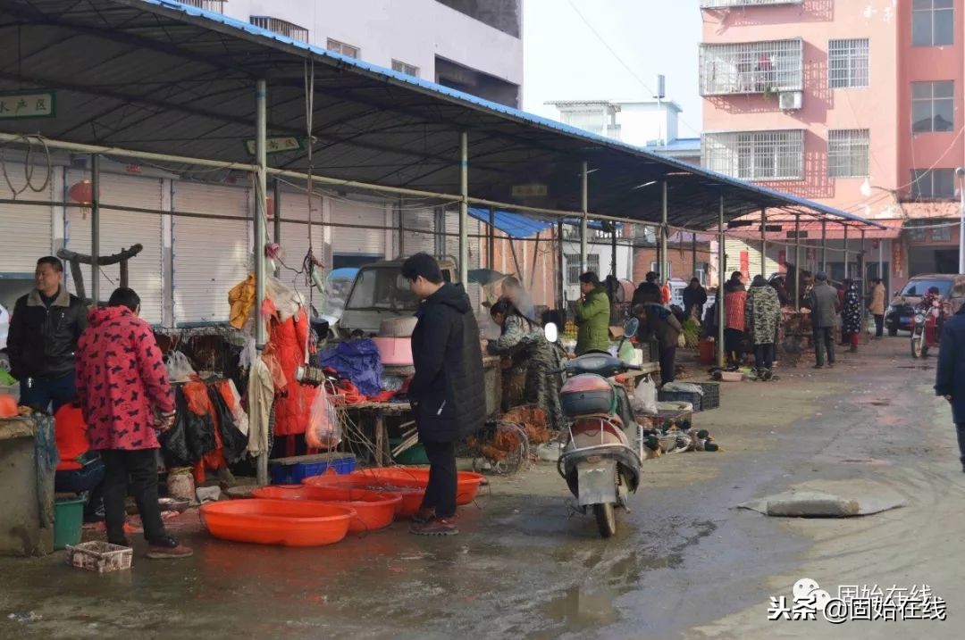 固始赵岗乡航拍,河南信阳固始县街拍