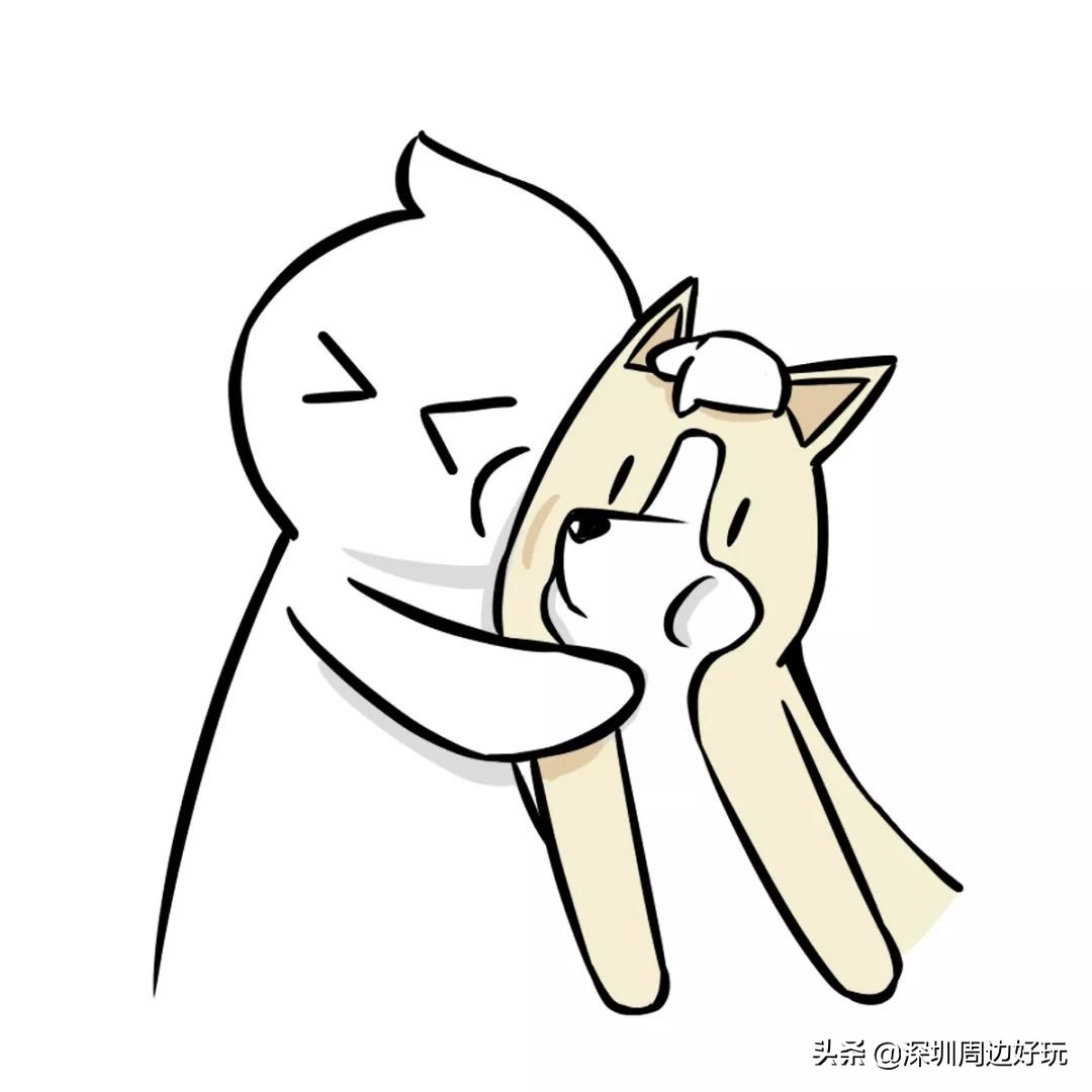 住在深圳各区的人,住在深圳市的人