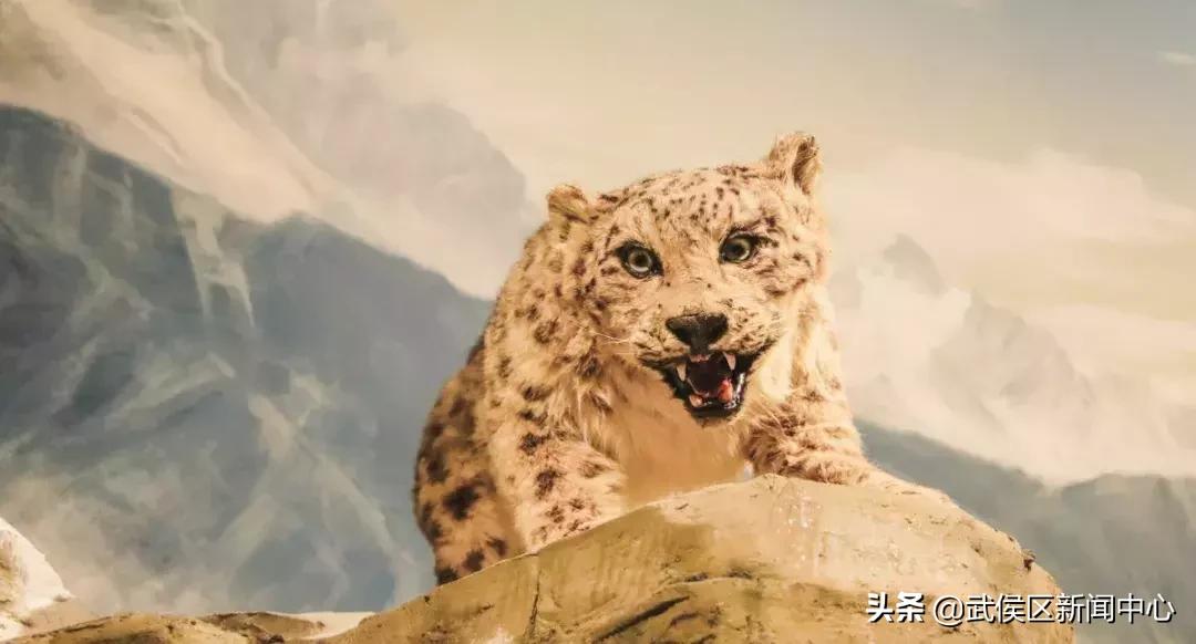 成都旅游景点免费门票,成都周边好玩的地方景点免费