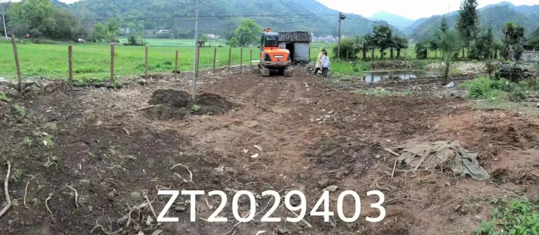 90后男孩住进郊区老屋，徒手打造400㎡自然花园，里面装满小精灵