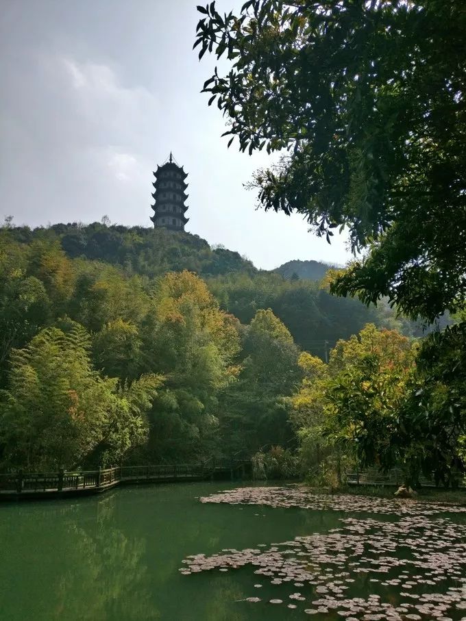 上海自驾舟山桃花岛游路线推荐,从上海去桃花岛如何安排行程