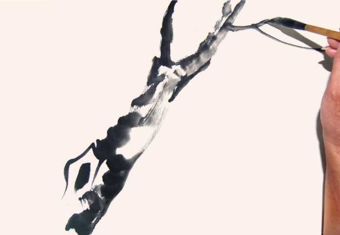 国画教程零基础入门树的画法,国画花卉线稿教程大全