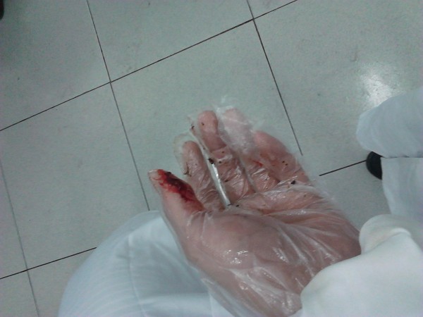 兔子野化,兔子野外环境是如何的