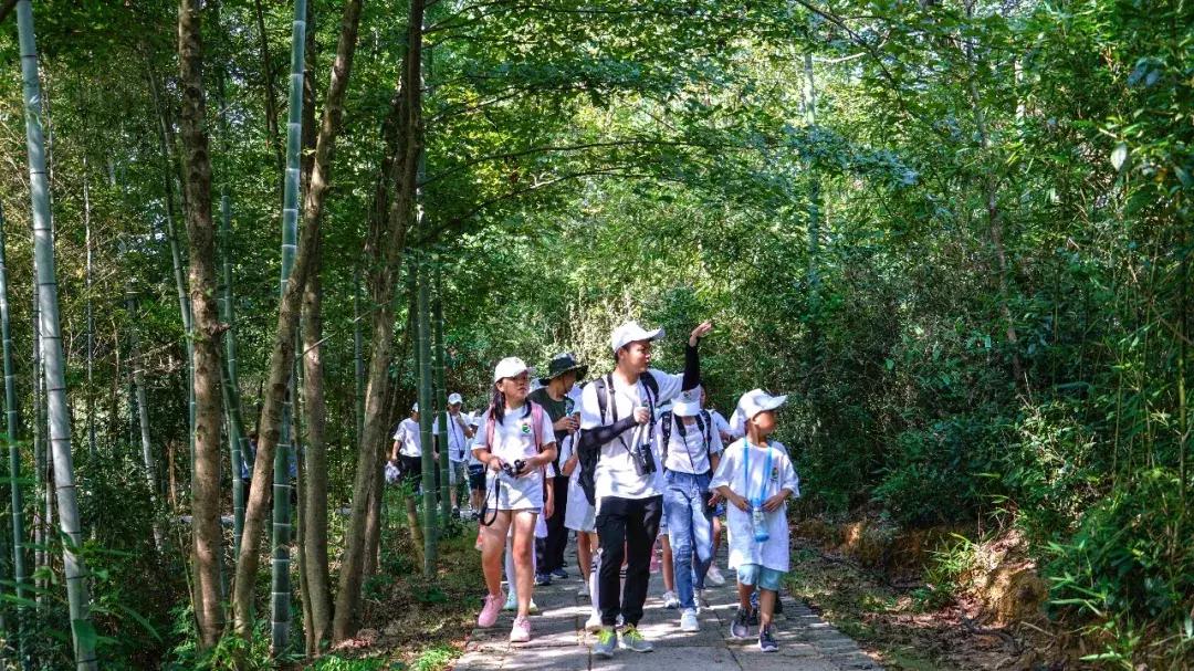 璇楃敾鍙ら晣姘村ⅷ涓婃渤,姘村ⅷ涓婃渤璇楃敾灏忛晣濠烘簮