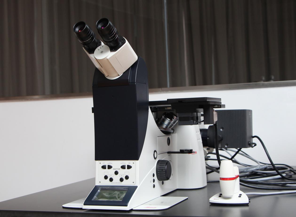 材料小博士：金属研究的葵花宝典，你了解金相分析吗？