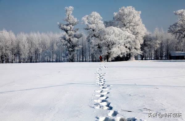 上世纪30年代东北状况,上世纪30年代中国东北政府
