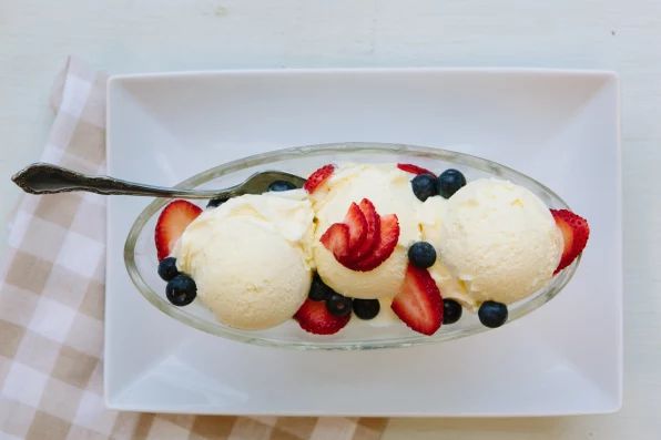 海蛞蝓和寄生虫,海蛞蝓和藻类的关系