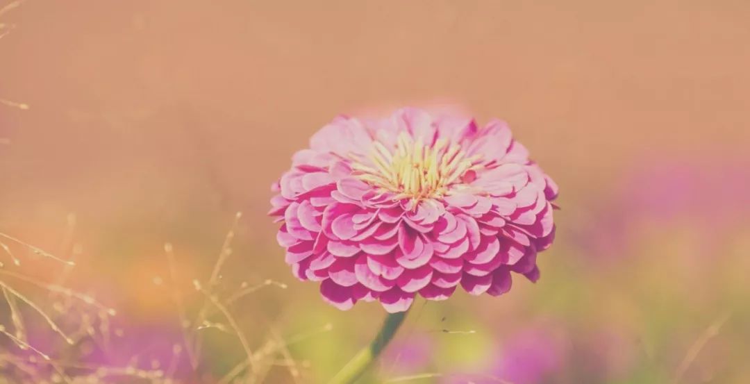 怎么样的孩子才叫牛气冲天的孩子？