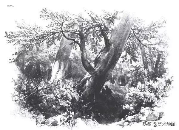 高清素描临摹风景图入门,素描画画教程7-12岁风景图