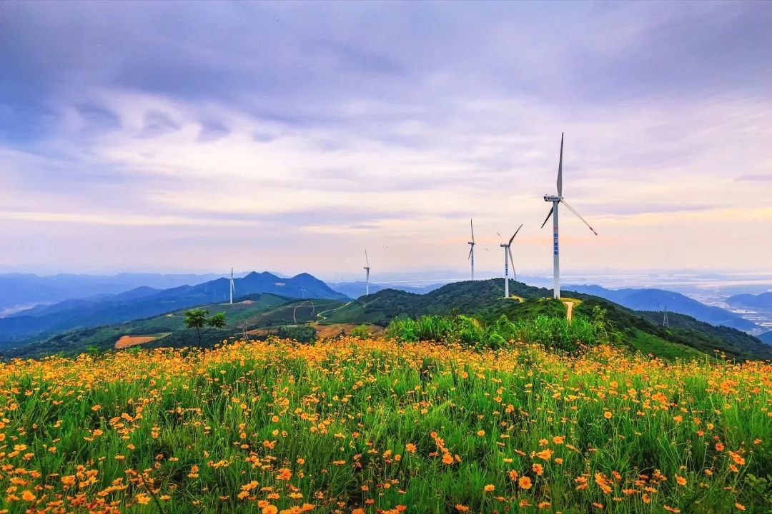 宁海野外自然美景,宁海环境优美的地方