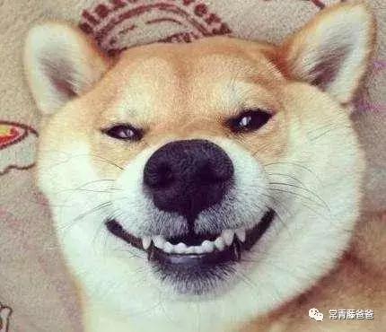 遇到熊亲戚逗孩子你会翻脸吗,过年亲戚问话怼回去指南