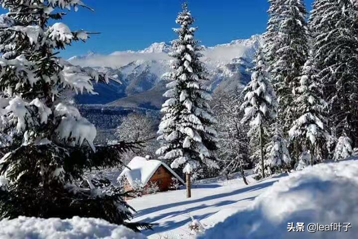 冬季*疆新**喀纳斯打卡必做list