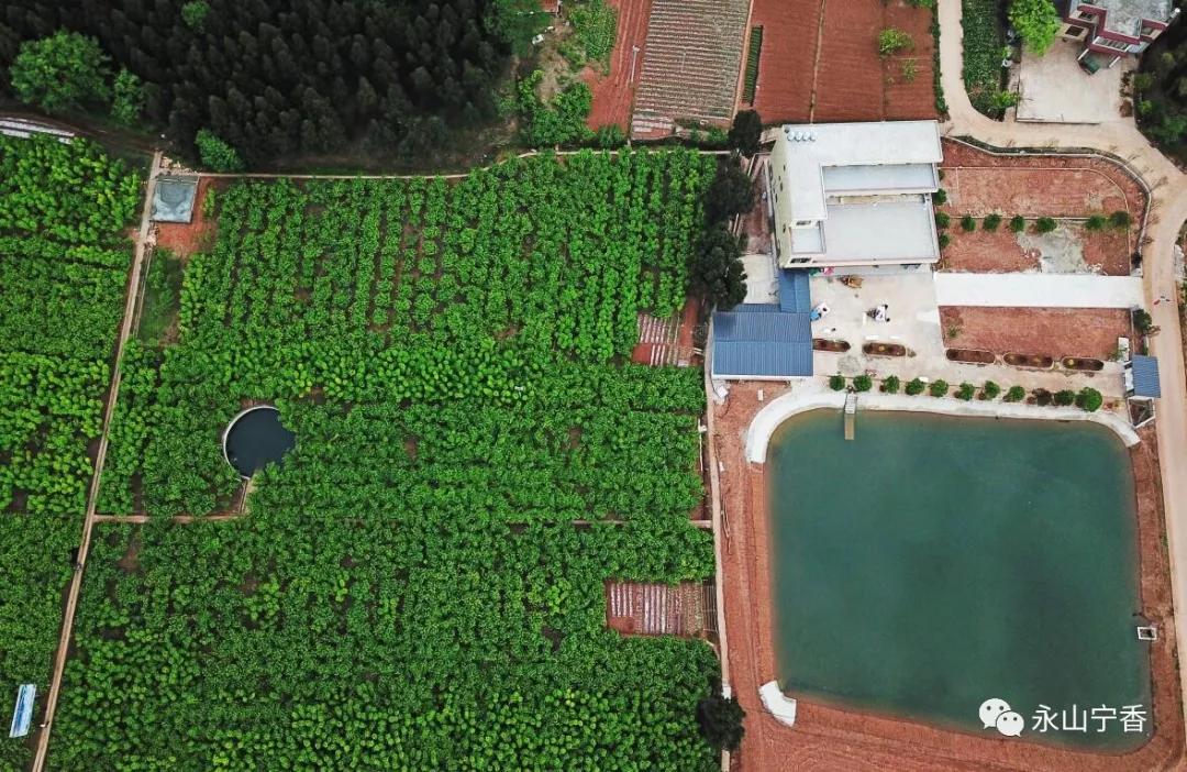 五一期间简阳有什么好玩的,简阳周边春游的好地方推荐