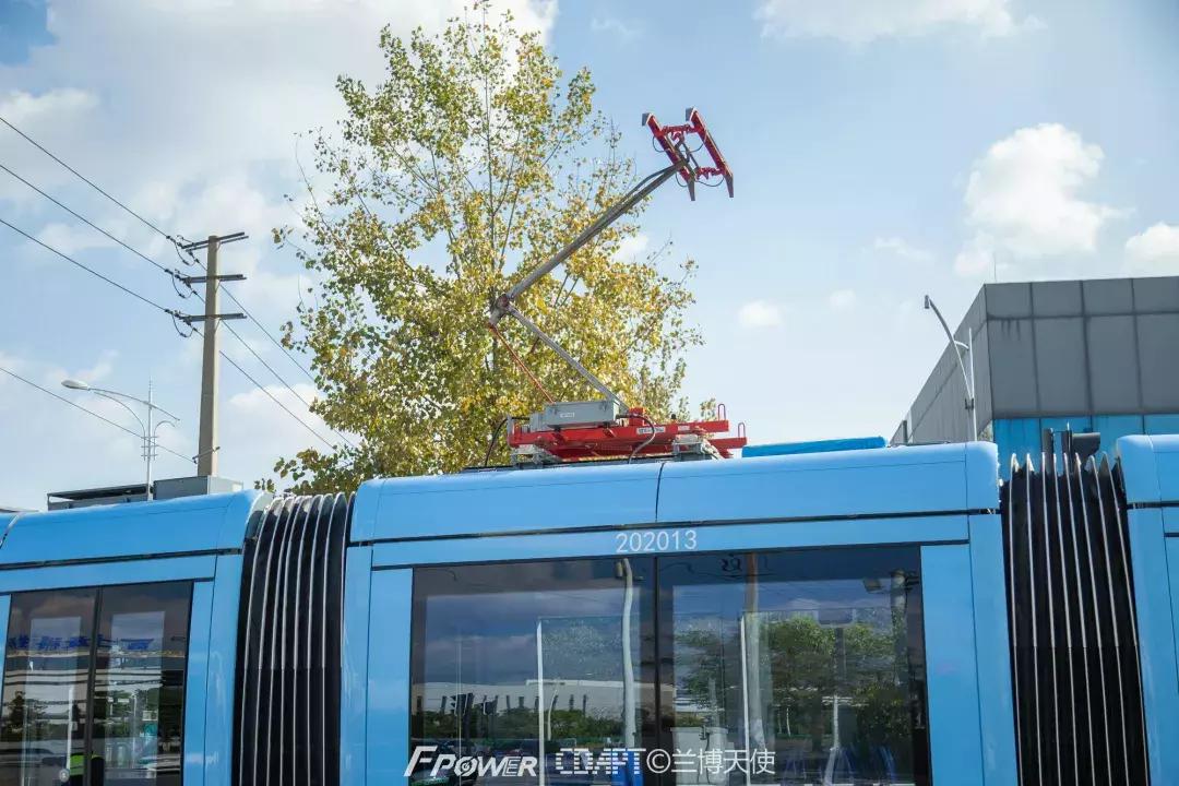从蓉2来|天天看见“叮叮猫”跑来跑去的,它到底在忙什么啊?