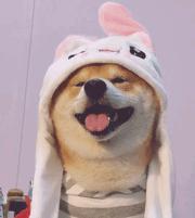 住院必带的东西有什么,医院住院都要带哪些东西