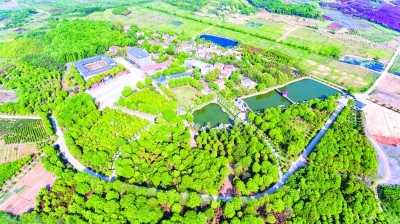 解码江夏乡村振兴,江夏青龙山乡村振兴