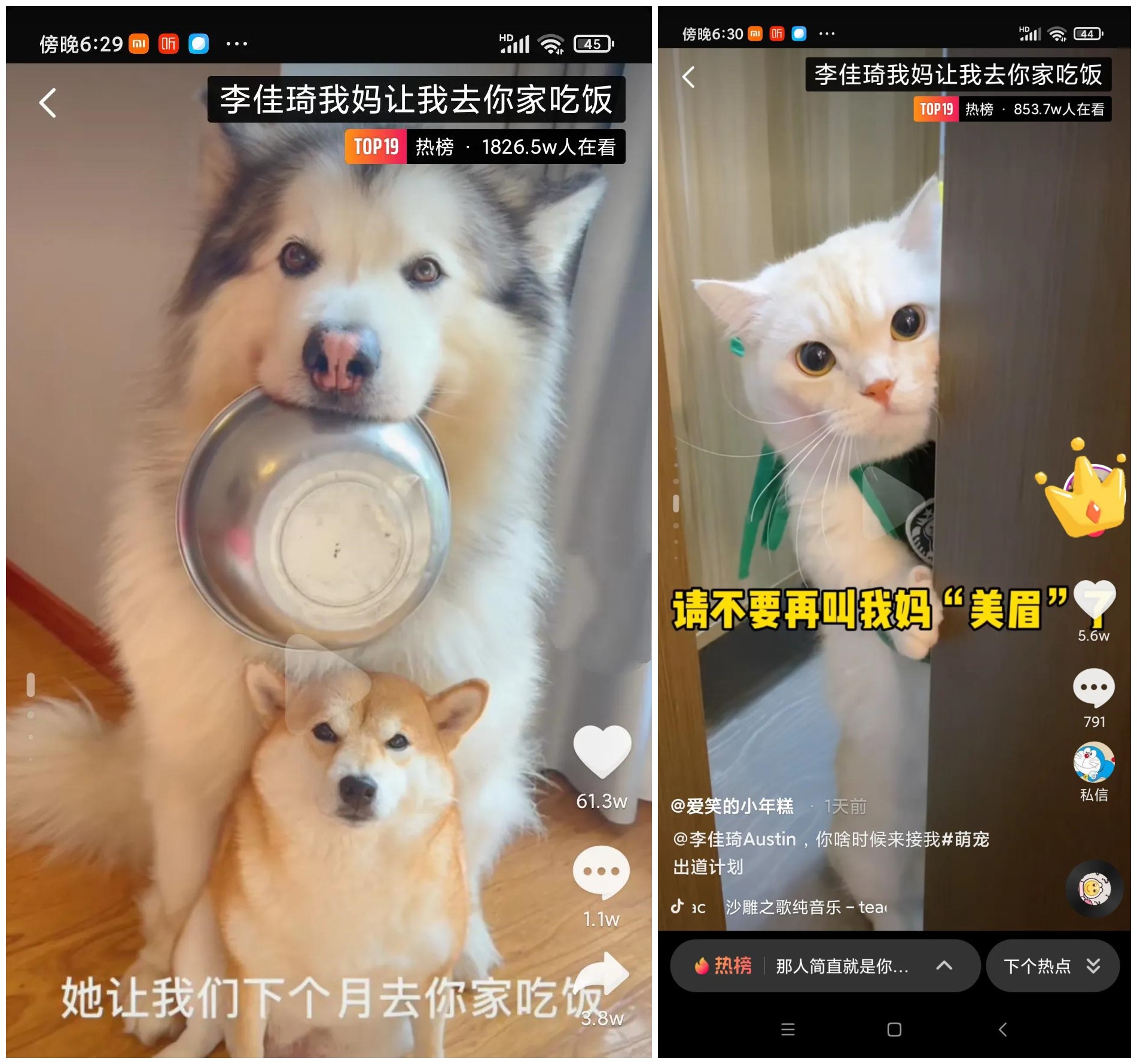 李佳琦卖过什么国货,李佳琦后续带来的国货之光