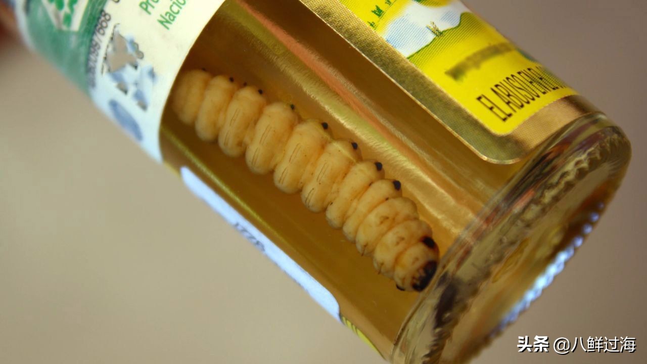 墨西哥国酒龙舌兰酒的制作过程,龙舌兰酒墨西哥国酒多少度