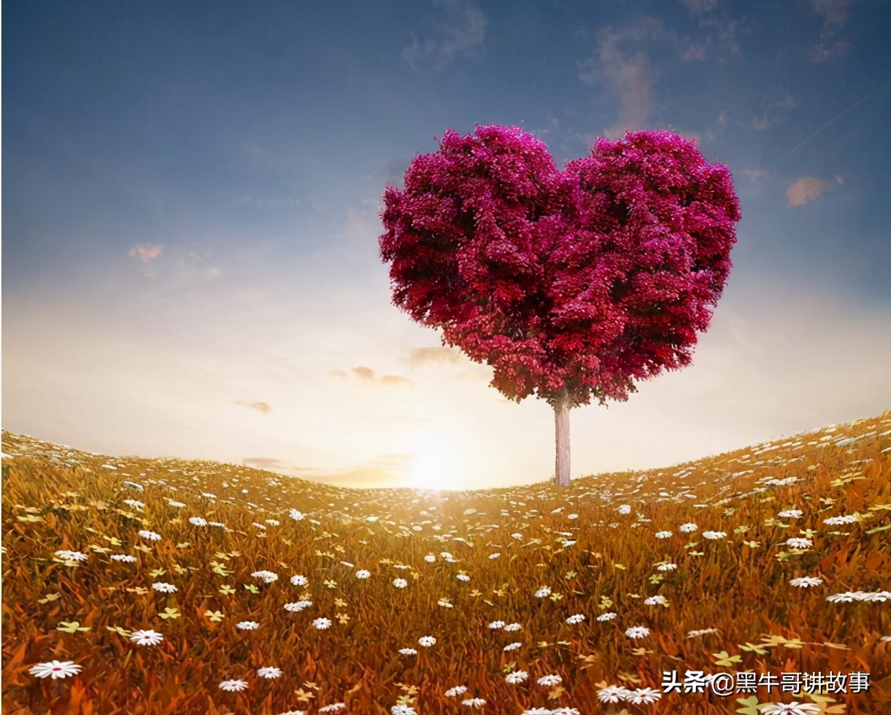 巨婴自私的男人结婚后怎么办,结婚后男人很自私怎么办