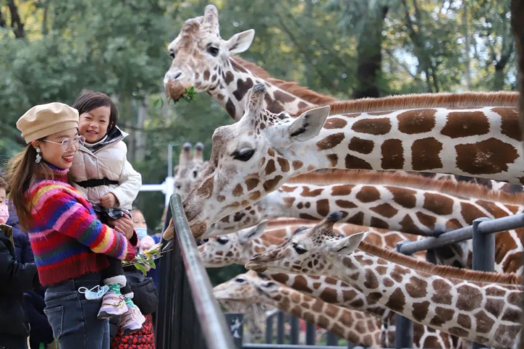 开启非凡住宿万豪旅享家,万豪旅享家万物皆可串