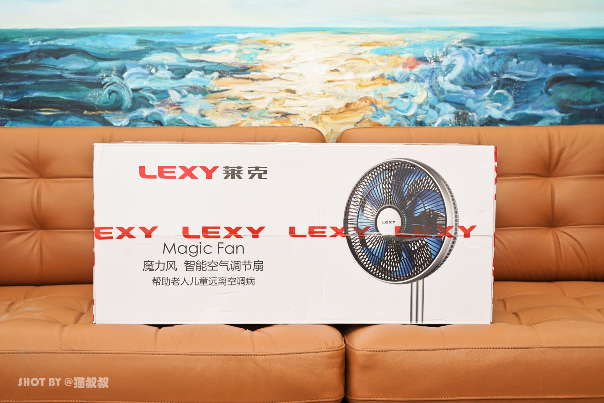 健健康康的凉快，莱克魔力风F501剁手体验