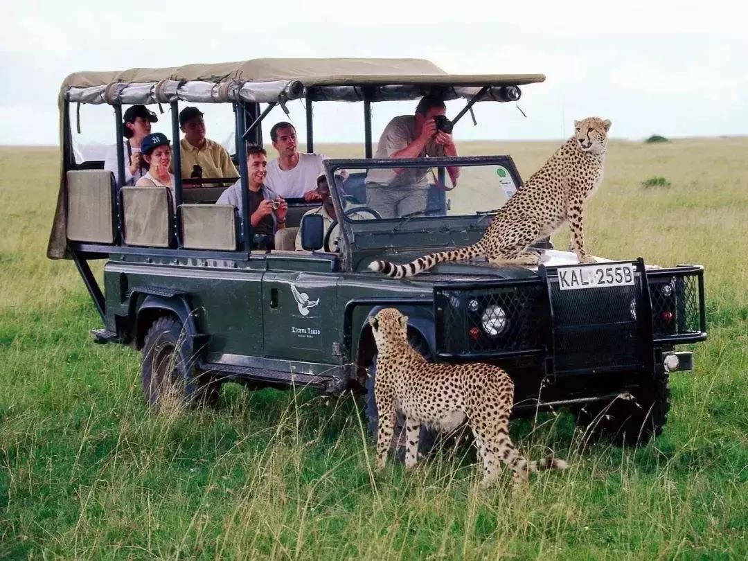 肯尼亚最值得去的地方,肯尼亚最值得去的二十个地方