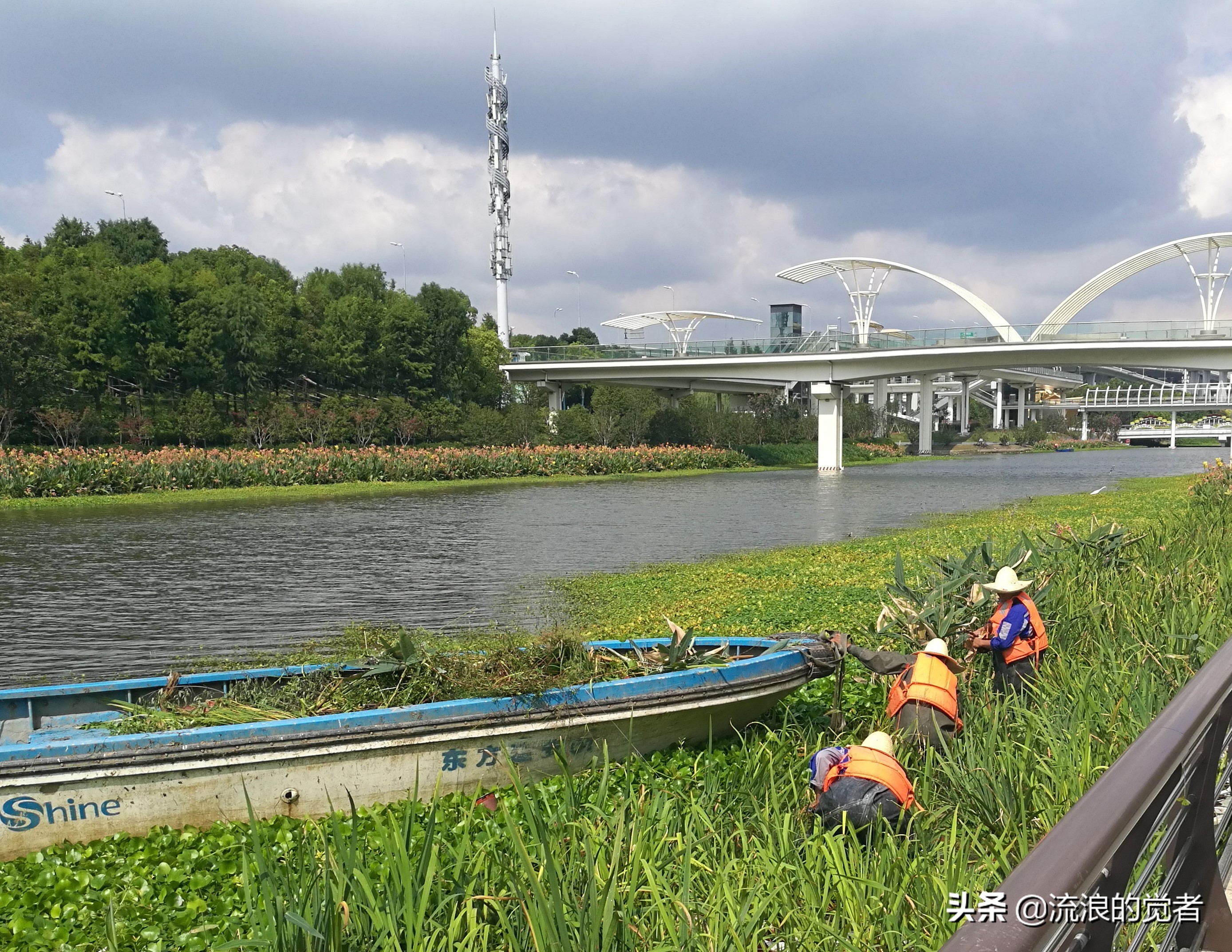 闹中取静的风景,闹中取静怡然自得