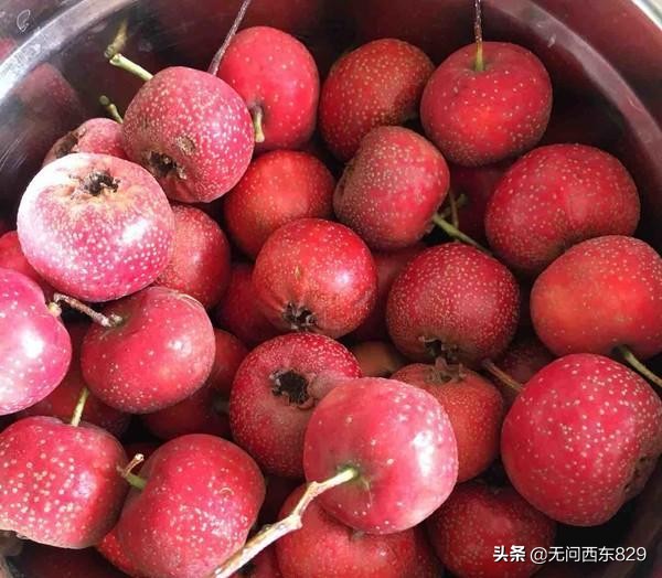 山楂糕零添加,山楂糕真是开胃神器