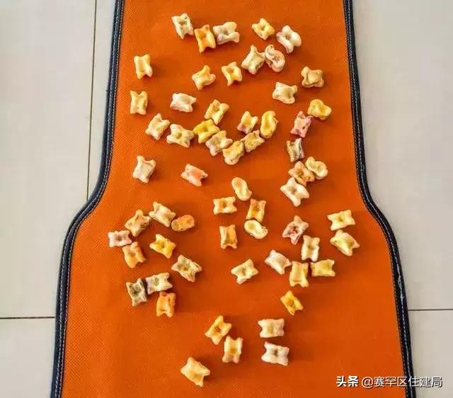 在内蒙古家里没几匹马和骆驼都不能愉快地玩耍了！