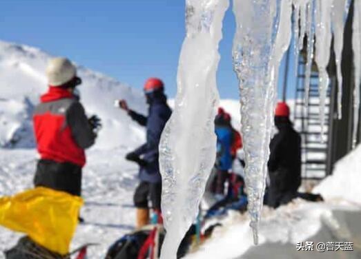 新西兰买特产去哪,新西兰十大著名特产