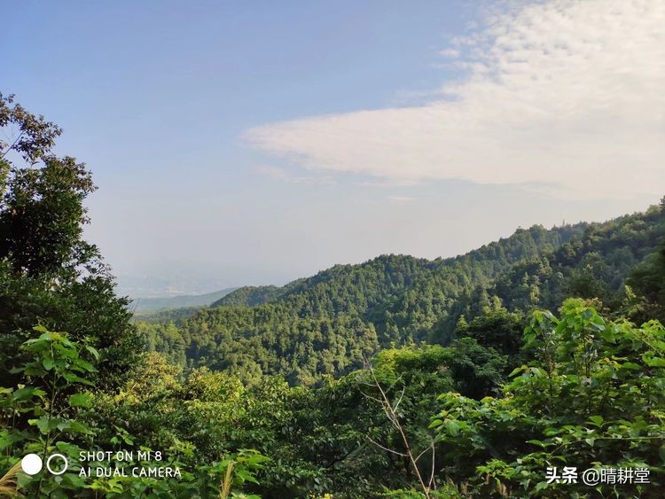 赣州峰山附近一日游自驾游景点,赣州峰山美景