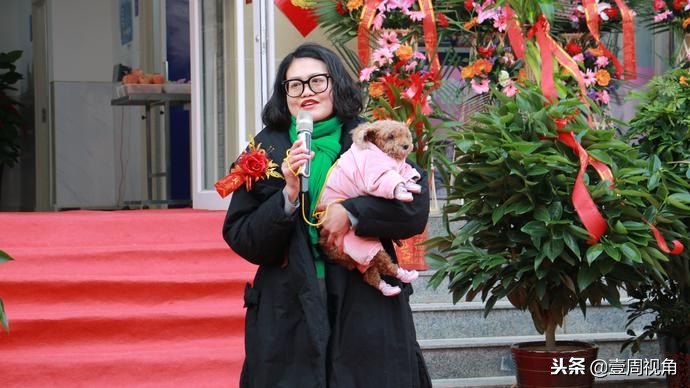 廊坊人自己的平价动物医院—百福动物医院正式开业