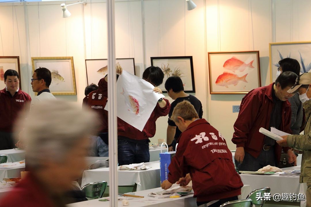 日本品牌钓鱼装备推荐一下,日本钓鱼装备大全