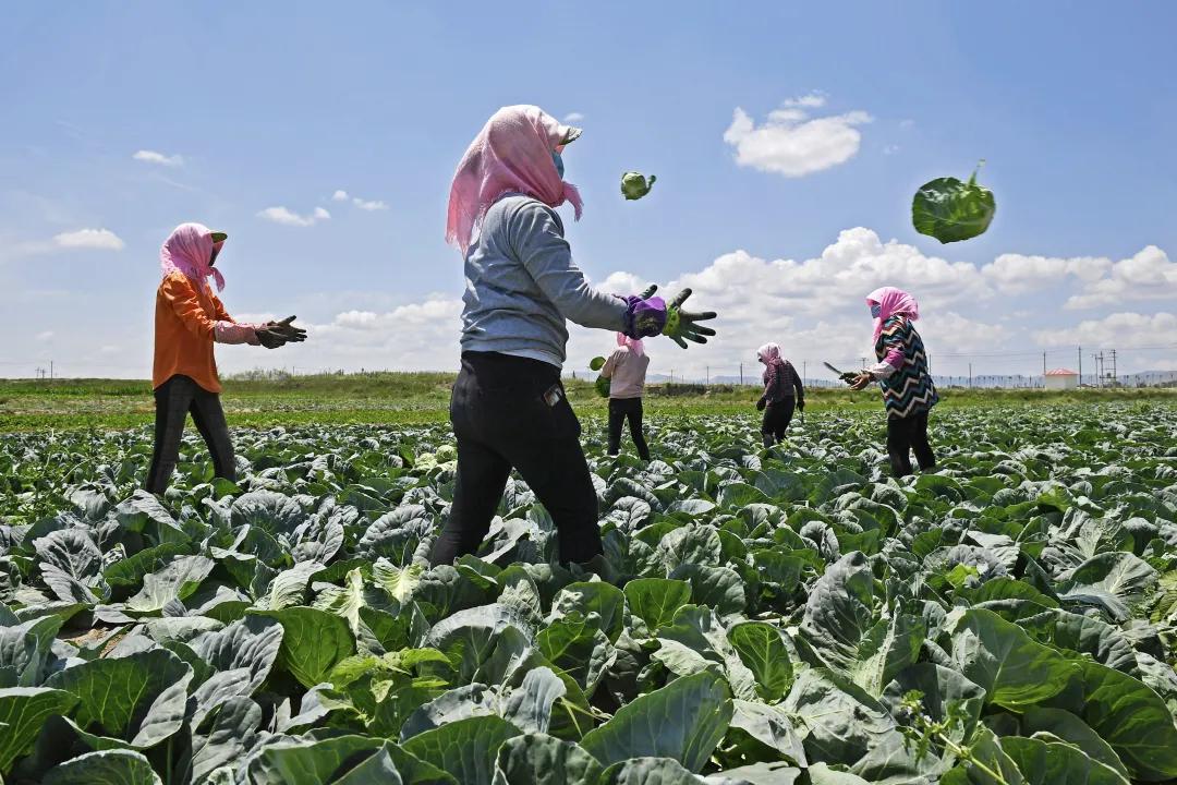 脱贫攻坚的伟大成就,中国脱贫攻坚全纪实