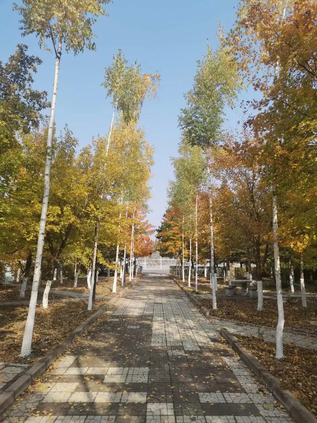 吉林省独立院校（三）长春工业大学人文信息学院