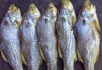 快死的鱼放到河里还能活吗,快死的鱼还在挣扎能活吗