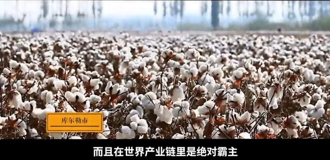 新疆采棉工,新疆采棉工真实收入