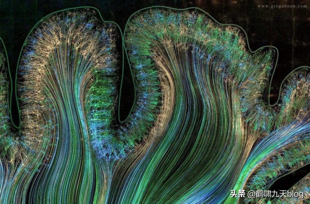 人类大脑如何超越人工智能,人类的出路在于将自身升级为神