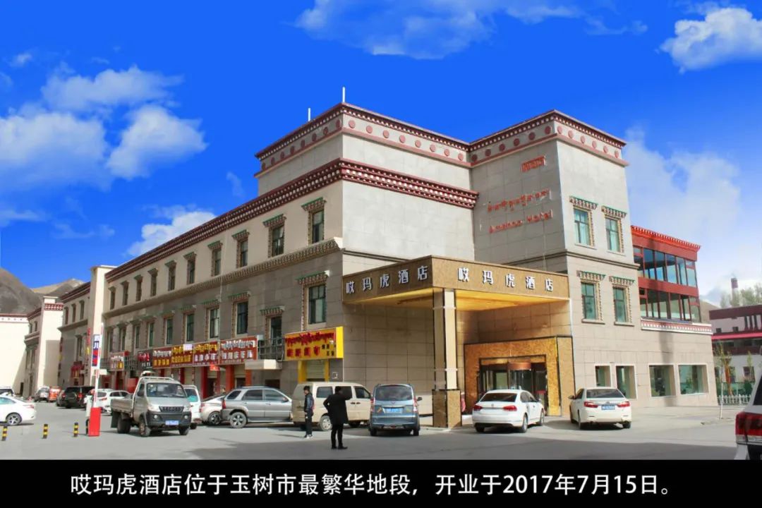 青年创业篇,青年创业星星之火