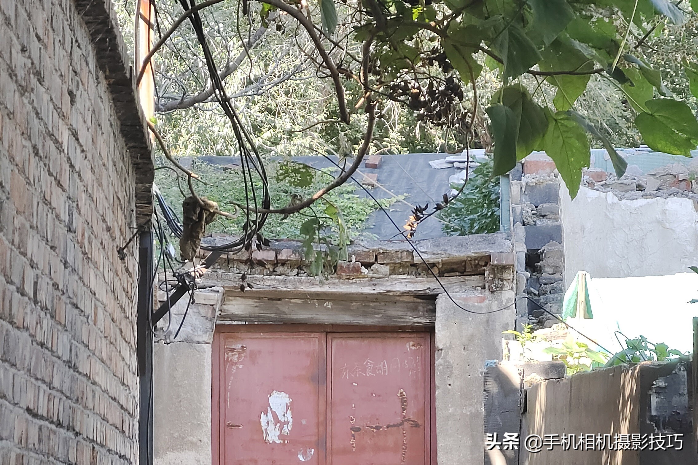 vivoX70Pro+是摄影新机皇？用完它那拉胯的长焦，我沉默了