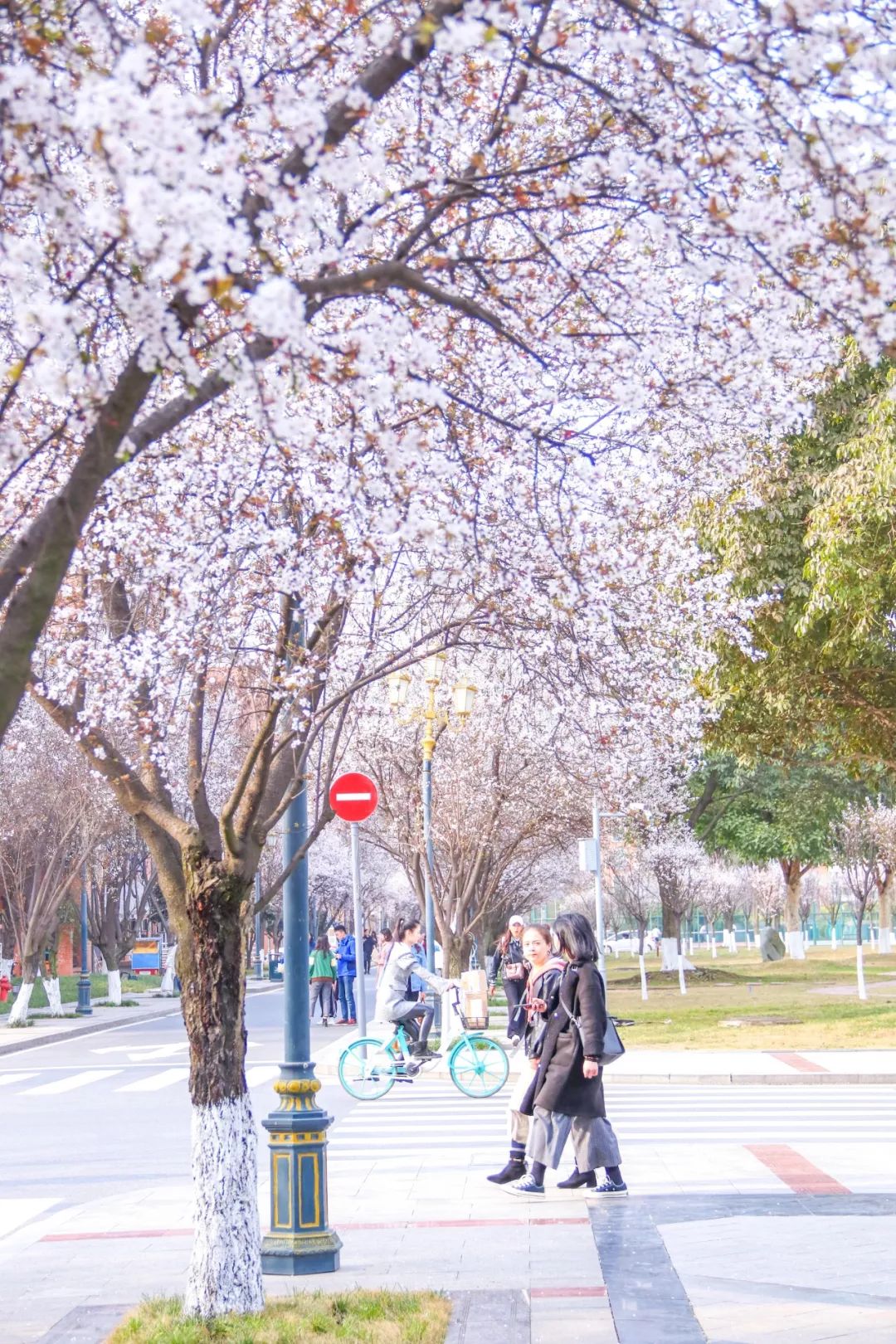 西南民大值得去读吗,西南民大是什么级别